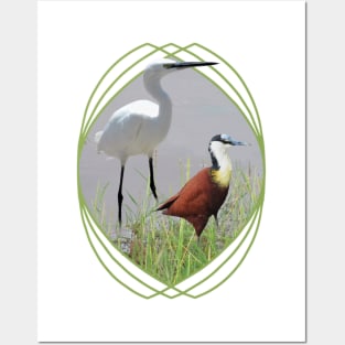 Little Egret and African Jacana are Birds in Kenya / Africa Posters and Art